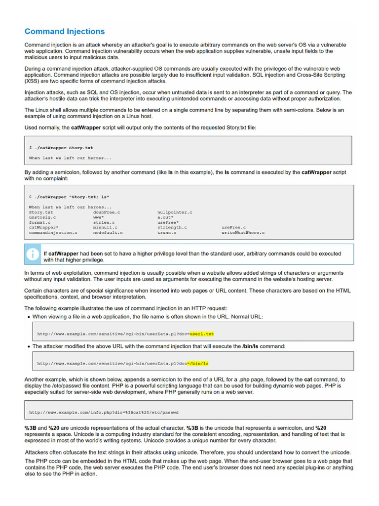 7 - Command Injections | PDF