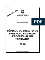 Tópicos de Direito Do Trabalho E Direito Processual Do Trabalho 2010