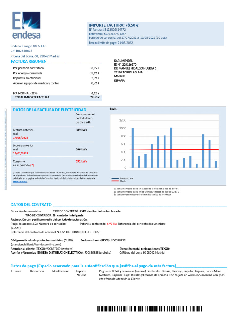 Factura de Electricidad Endesa: Resumen y Detalles | PDF | Electricidad ...