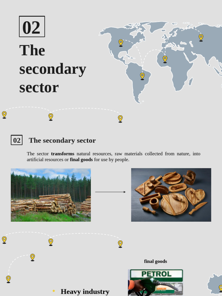 Overview of the Secondary Sector | PDF