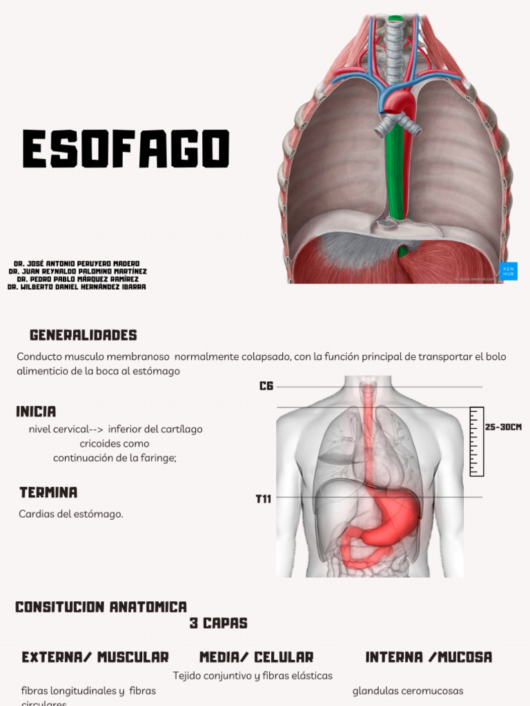ESOFAGO | PDF