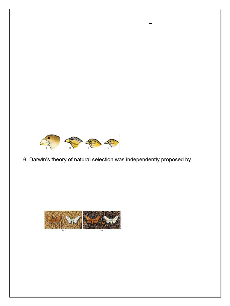 ZAK +2 Revision Test - 5 | PDF | Natural Selection | Evolution