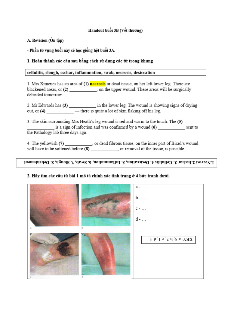 Understanding Eschar in Wound Care | PDF | Necrosis | Healing