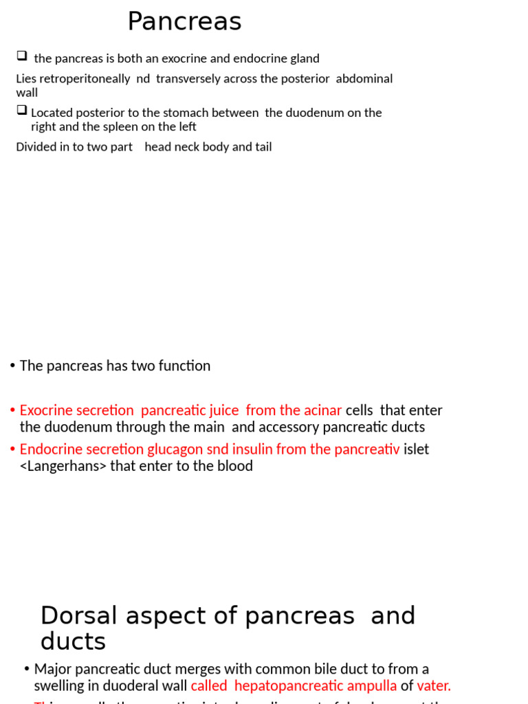 Anatomy and Functions of the Pancreas | PDF