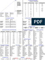 Copia de CONJUGACIÓN DE VERBOS EN PORTUGUES