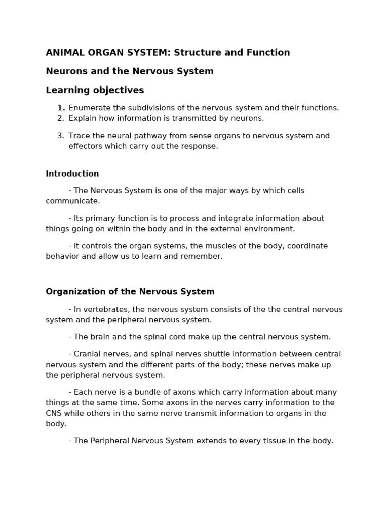 Neurons and Nervous System | PDF | Neuron | Neurotransmitter