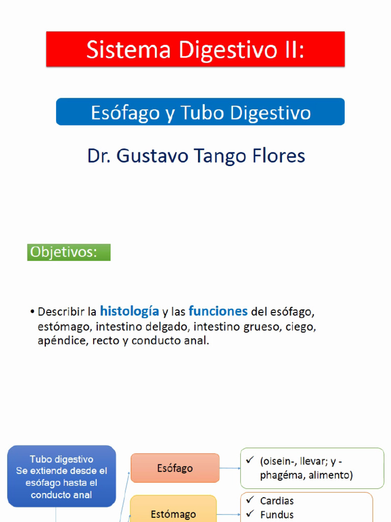 Tema 17 | PDF