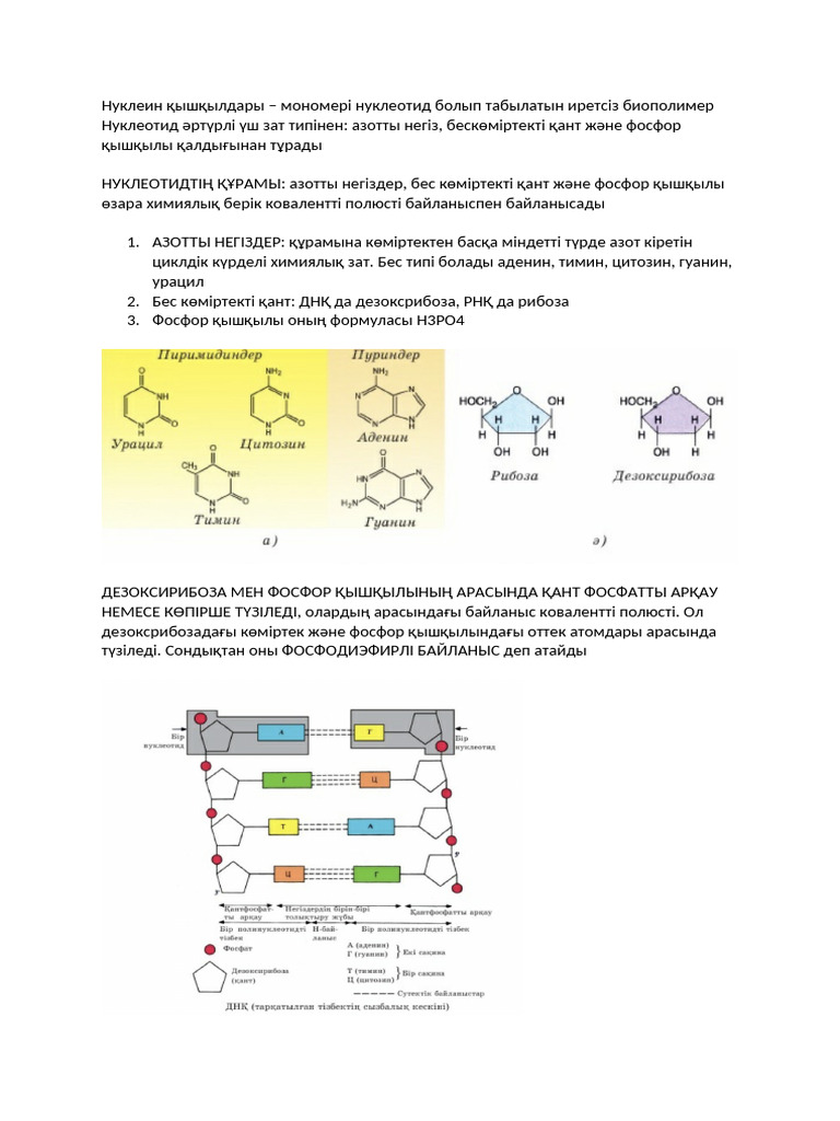 Ол Дикті сорып алды және құмарлықтың фитнесімен мүшесін тістеп алды