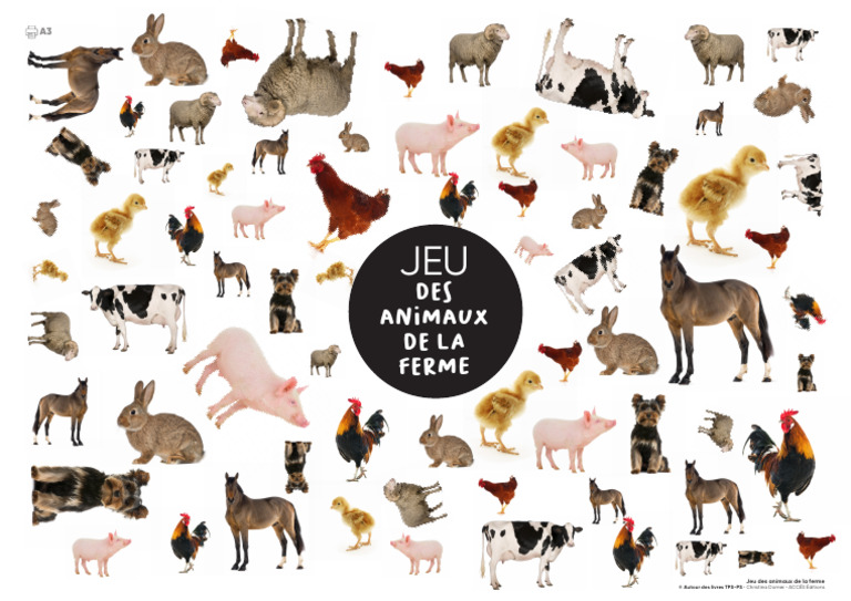 Jeu des animaux de la ferme PDF | PDF