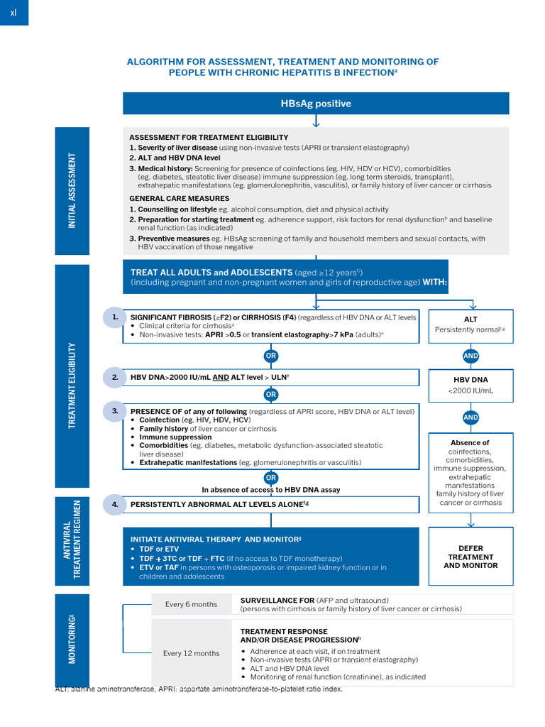 Chronic Hepatitis B Management Guidelines | PDF | Hepatitis B | Cirrhosis