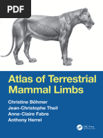 Tiger Anatomy and Skeletal Structure | PDF | Vertebral Column ...