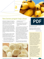 Banana: New Banana Program Leaps Ahead