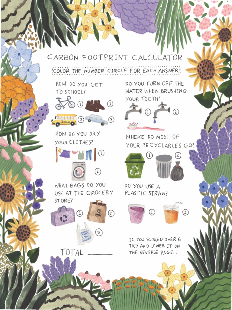 Carbon Footprint Calculator (By Sara Meadows) | PDF | Science ...