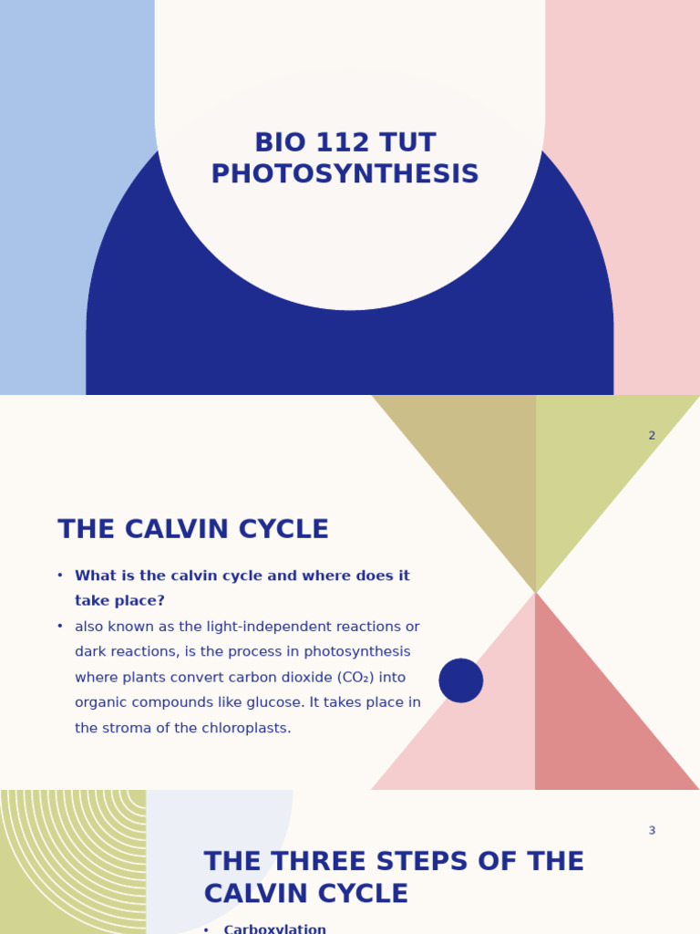 Bio 112 Photosynthesis | PDF | Adenosine Triphosphate | Photosynthesis