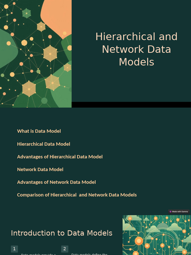 Hierarchical and Network Data Models | PDF | Hierarchy | Data Model