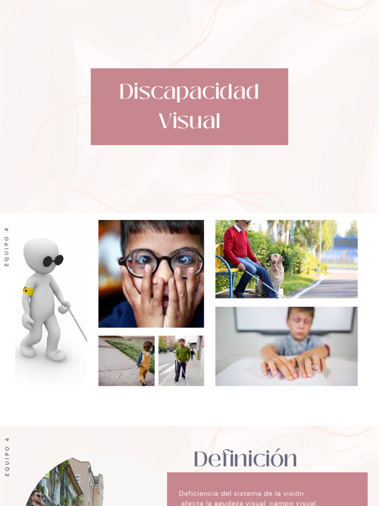Tipos y Desafíos de la Discapacidad Visual | PDF | Invalidez ...