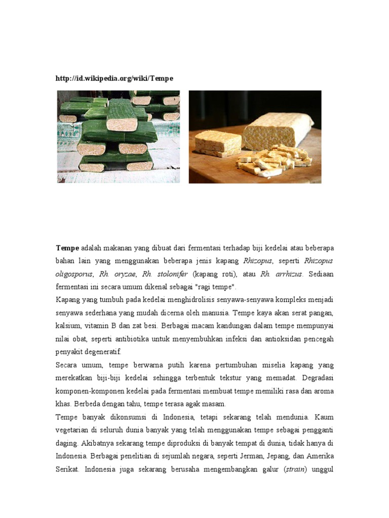 Referensi Tempe Pdf