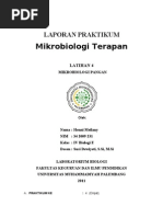 Download LAPORAN PRAKTIKUM  TEMPE by ahyar SN78662856 doc pdf