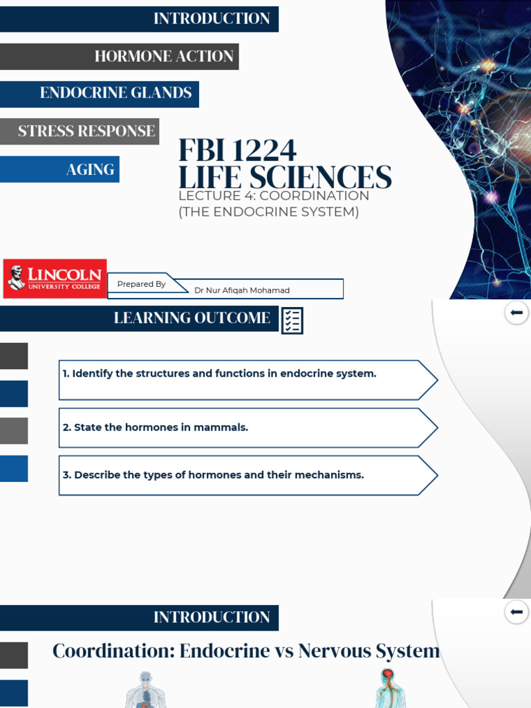 Coordination The Endocrine System | PDF | Luteinizing Hormone | Adrenal ...