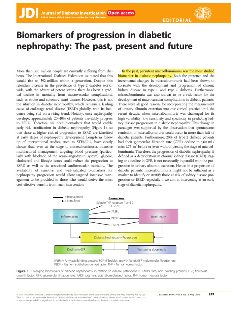 Early New Bioamkers in DN | PDF | Chronic Kidney Disease | Kidney