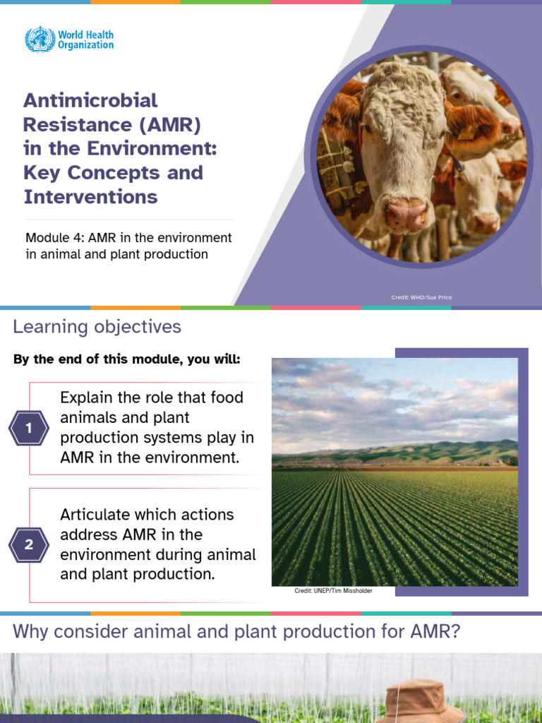 4antimicrobial Resistance in The Environment Key Concepts and ...