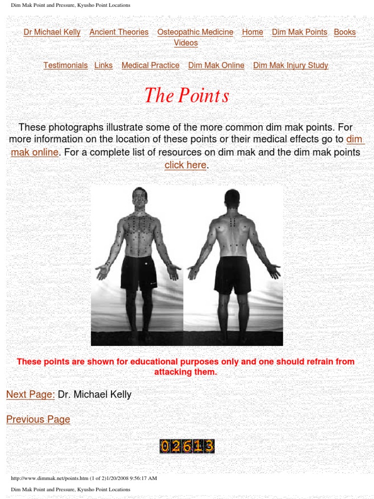 Dim Mak Martial Arts Pressure Points Pdf
