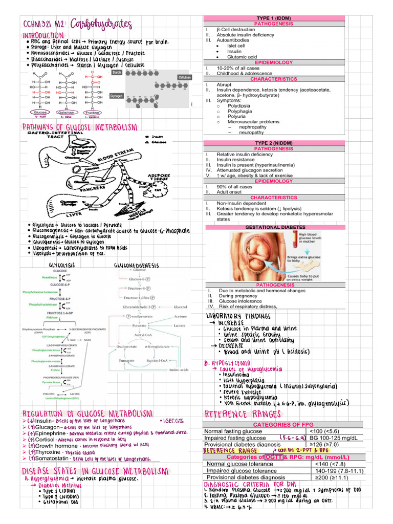 Carbohydrates summarize pdf