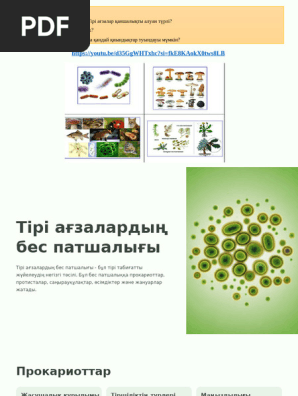 Порно ұлы анасымен сиқығысы келеді