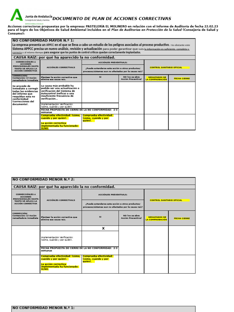 Propuesta de Documento de Plan de Mejora y Seguimiento de Acciones ...