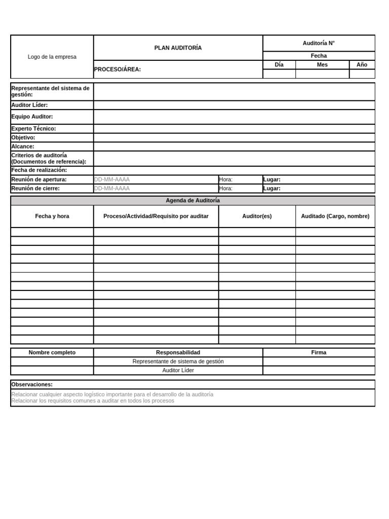 Formato Plan de Auditoría | PDF | Auditoría | Contralor