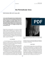 Foreign Body in The Periradicular Area