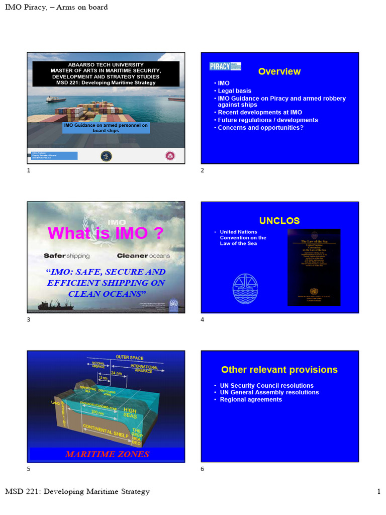 IMO Guidance on Armed Security at Sea | PDF | Piracy | Ships