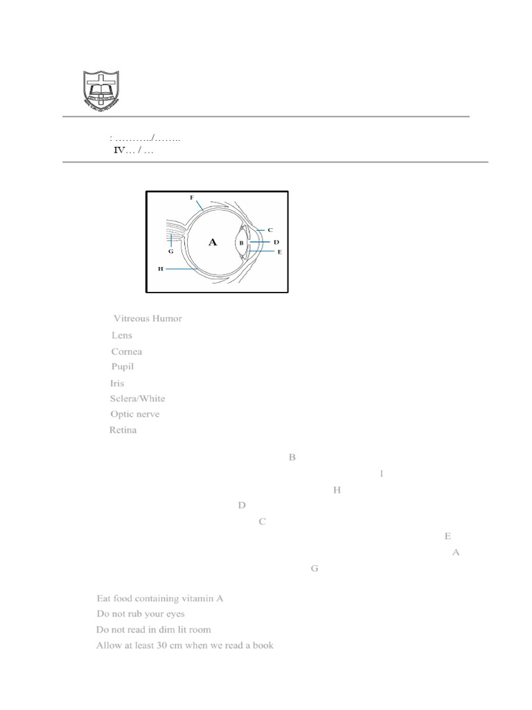 Answers Key Science Worksheet 1 BP 13 | PDF | Eye | Human Eye