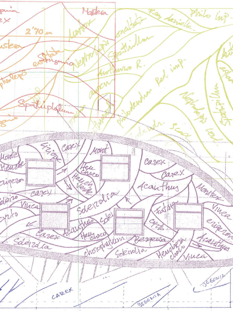Definitive Guide of The Vertical Garden - Vertical Gardens Book | PDF |  Taxonomy (Biology) | Phylogenetics