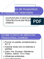 Acupuntura e Fisioterapia Veterinaria-Portugues