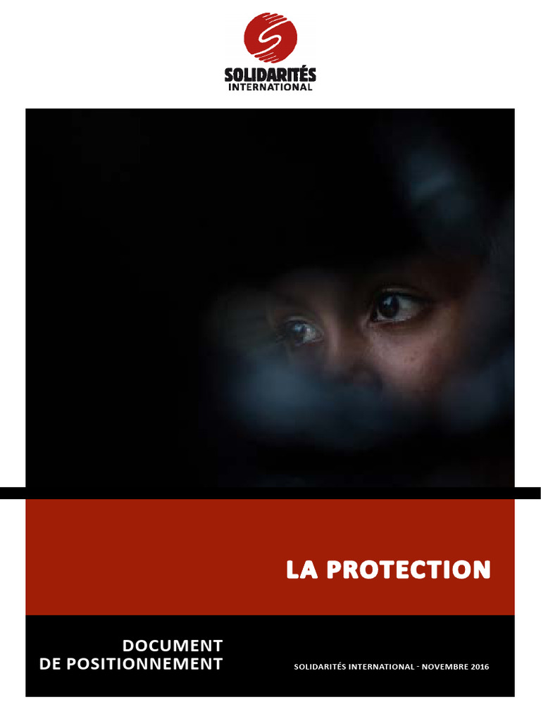 Positionnement sur la protection humanitaire | PDF | Droits de l'homme ...
