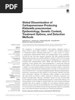 Ambler Beta-lactamase Classification Guide | PDF | Beta Lactamase ...
