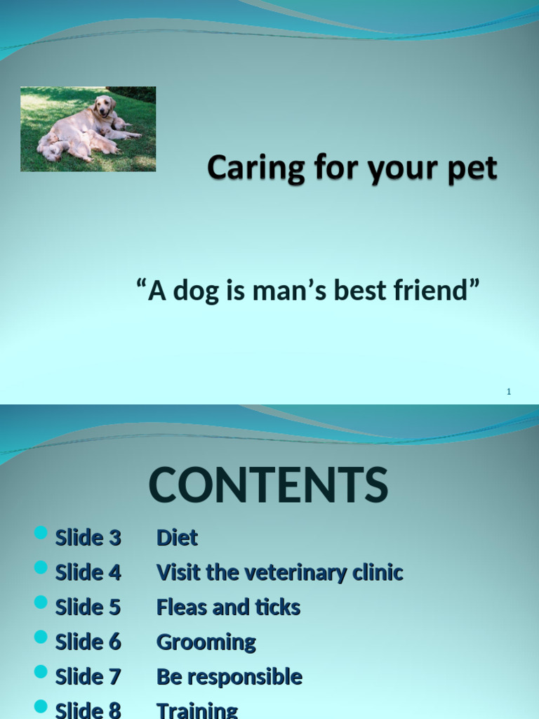 essential-dog-care-guide-pdf-wellness