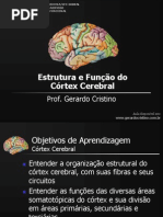 Córtex Cerebral