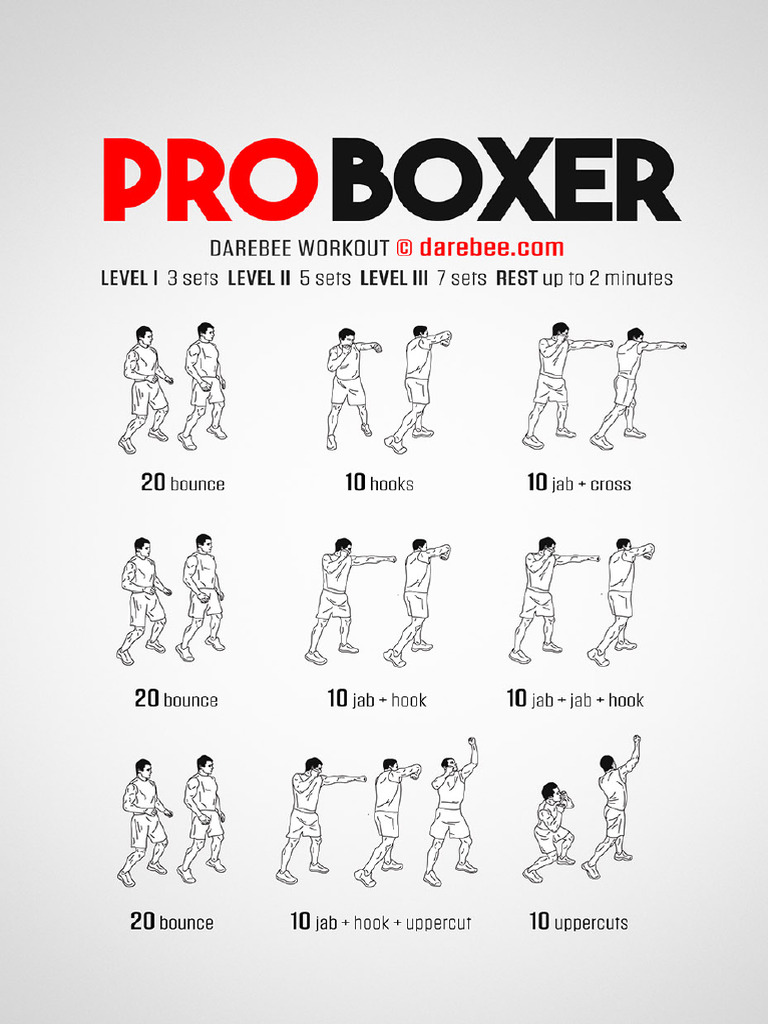 Pro Boxer | PDF