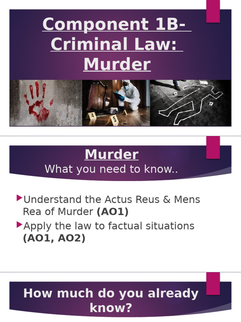 Understanding Murder: Key Legal Concepts | PDF | Malice Aforethought ...
