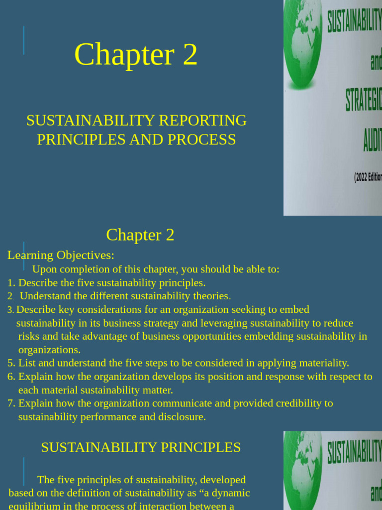 Sustainability Reporting Principles | PDF | Sustainability | Governance