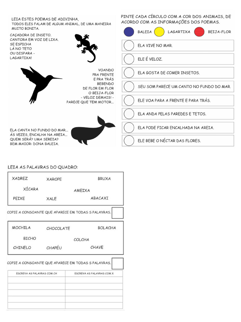 Atividade | PDF