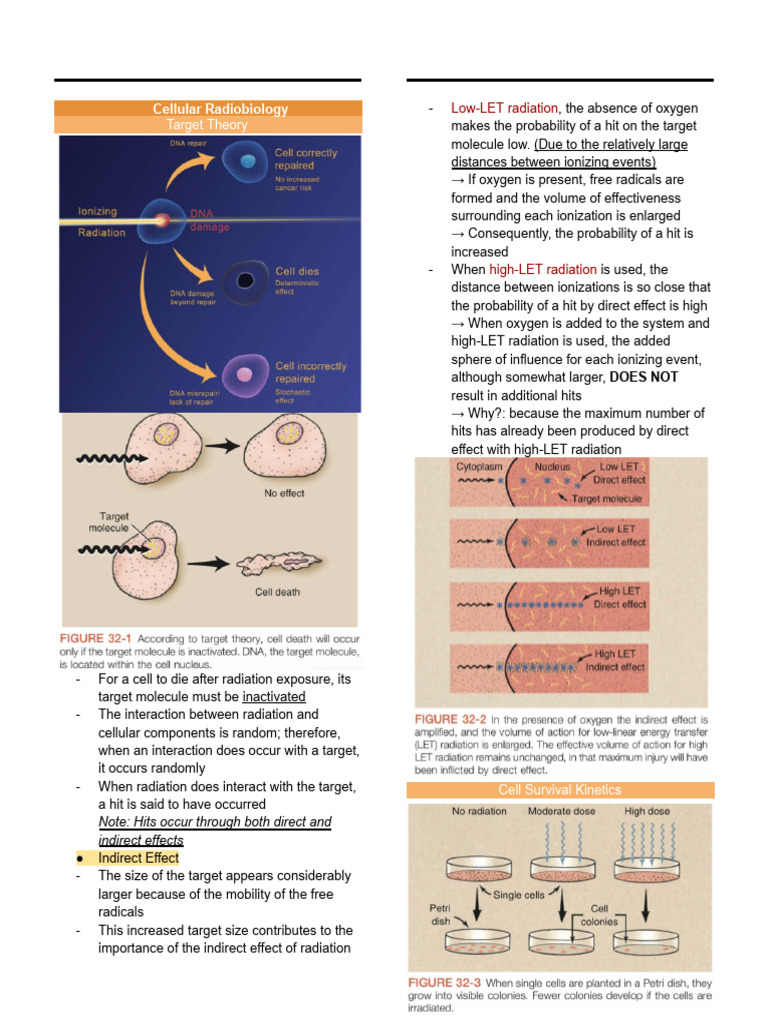Understanding Cellular Radiobiology | PDF | Ionizing Radiation | Radiation