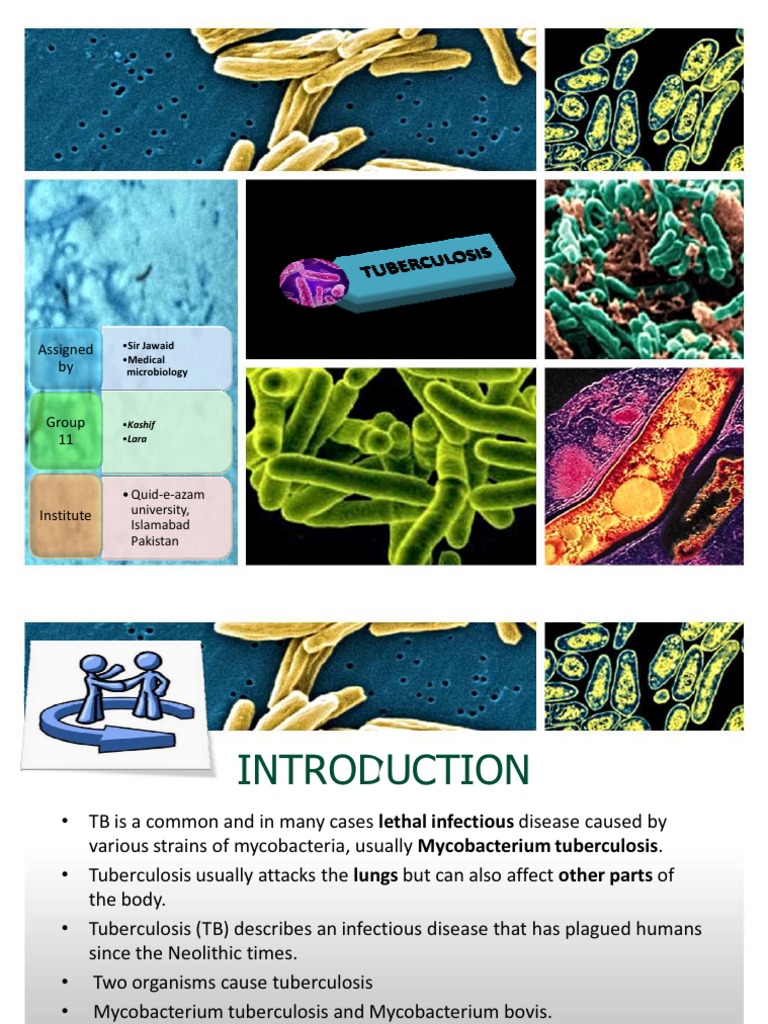Msir Jawaid Mmedical: Microbiology | PDF | Tuberculosis | Microbiology