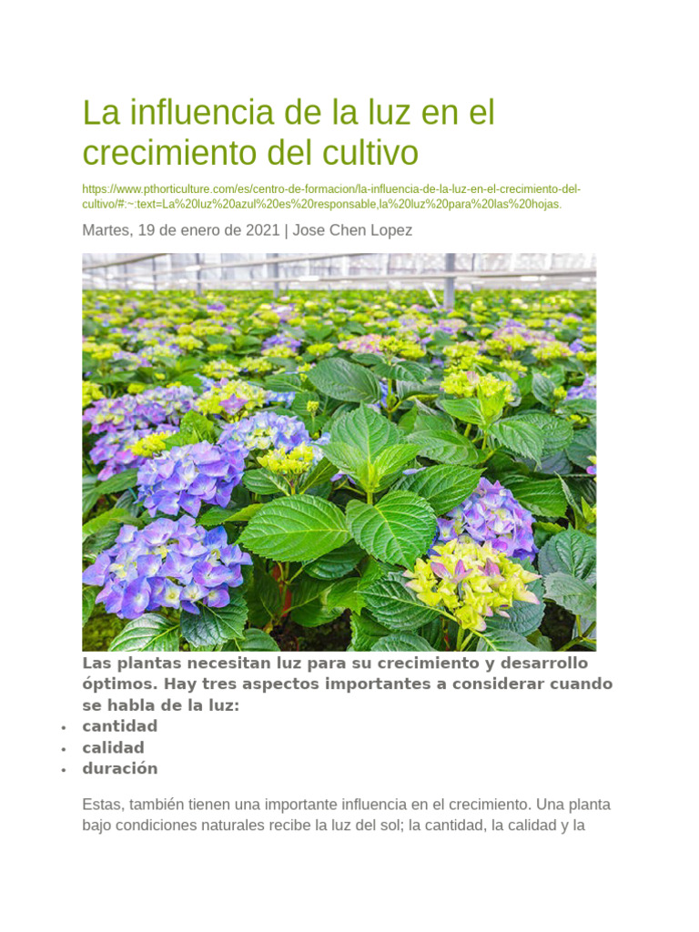 La Influencia de La Luz en El Crecimiento Del Cultivo | PDF