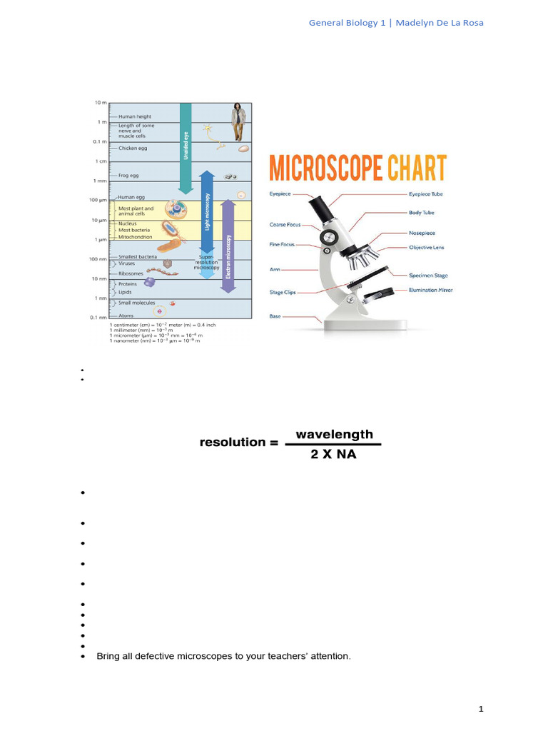 Microscopy Basics and Techniques Guide | PDF | Microscope | Equipment