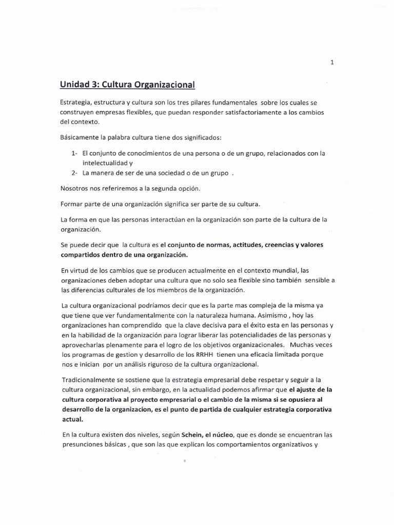 Cultura Organizacional y Cambio | PDF | Cultura organizacional | Business