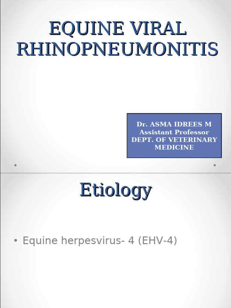 Equine Viral Rhinopneumonitis Overview | PDF | Vaccines | Virus