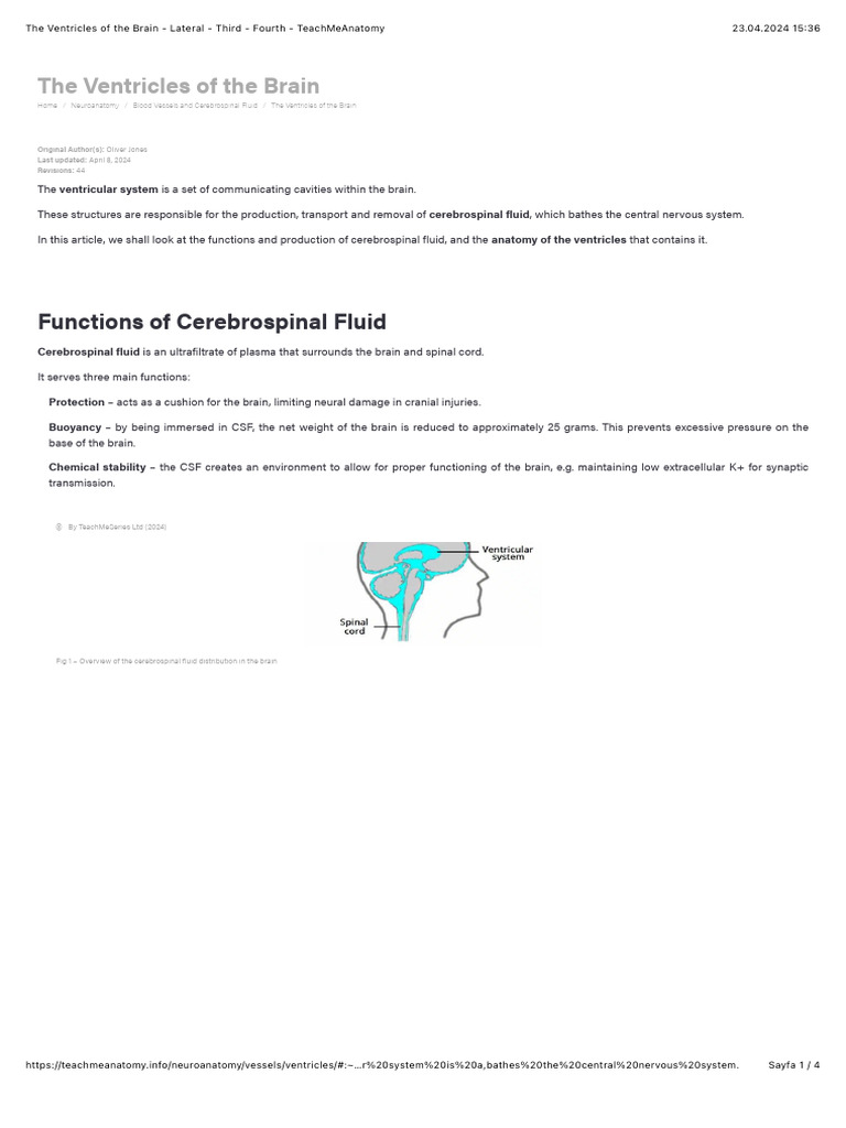The Ventricles of The Brain - Lateral - Third - Fourth | PDF ...